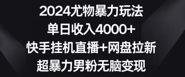 2024尤物暴力玩法，单日收入4000+，快手挂机直播+网盘拉新，超暴力男粉无脑变现【揭秘】-氢气球网创资源库
