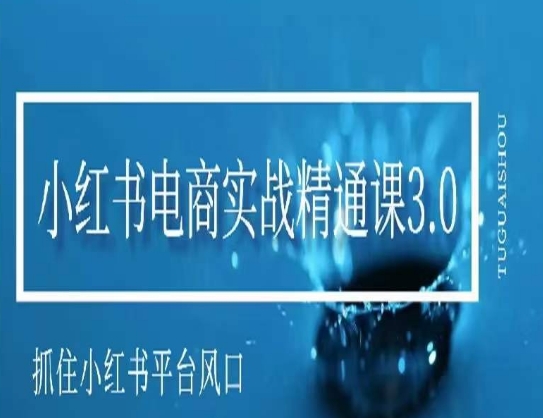 小红书电商实战精通课3.0，抓住小红书平台的风口，不错过有一个赚钱的机会-氢气球网创资源库