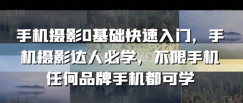 手机摄影0基础快速入门，手机摄影达人必学，不限手机任何品牌手机都可学-氢气球网创资源库