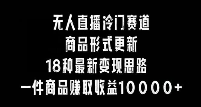 无人直播冷门赛道，商品形式更新，18种变现思路，一件商品赚取收益10000+【揭秘】-氢气球网创资源库
