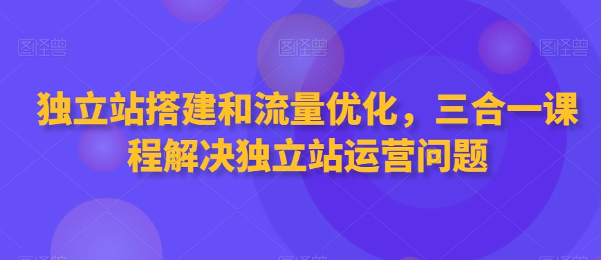独立站搭建和流量优化，三合一课程解决独立站运营问题-氢气球网创资源库