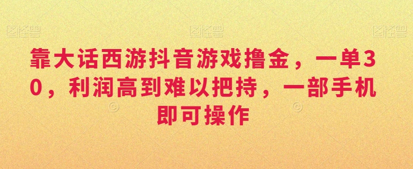 靠大话西游抖音游戏撸金，一单30，利润高到难以把持，一部手机即可操作，日入3000+【揭秘】-氢气球网创资源库