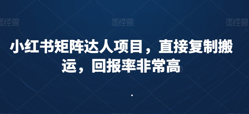 小红书矩阵达人项目，直接复制搬运，回报率非常高-氢气球网创资源库