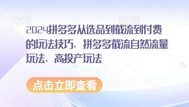 2024拼多多从选品到截流到付费的玩法技巧，拼多多截流自然流量玩法，高投产玩法-氢气球网创资源库