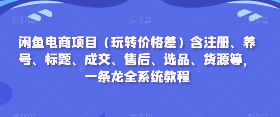 闲鱼电商项目（玩转价格差）含注册、养号、标题、成交、售后、选品、货源等，一条龙全系统教程-氢气球网创资源库