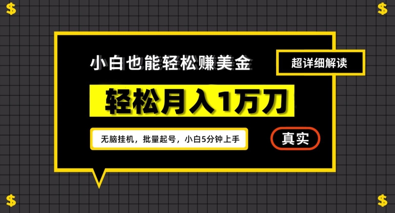谷歌看广告撸美金2.0，无脑挂机，多号操作，月入1万刀【揭秘】-氢气球网创资源库