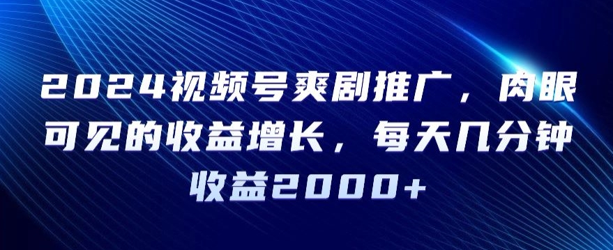 2024视频号爽剧推广，肉眼可见的收益增长，每天几分钟收益2000+【揭秘】-氢气球网创资源库