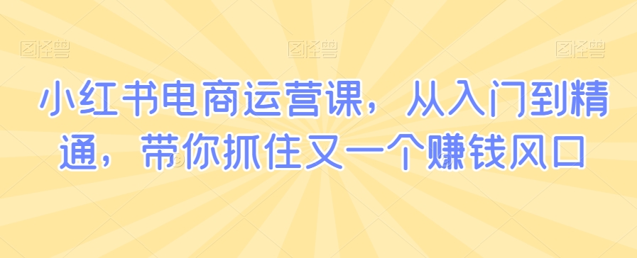 小红书电商运营课，从入门到精通，带你抓住又一个赚钱风口-氢气球网创资源库