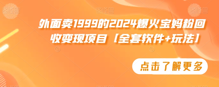 外面卖1999的2024爆火宝妈粉回收变现项目【全套软件+玩法】【揭秘】-氢气球网创资源库