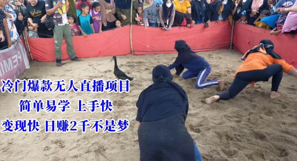 冷门爆款无人直播项目，简单易学上手快，变现快日赚2千不是梦【揭秘】-氢气球网创资源库