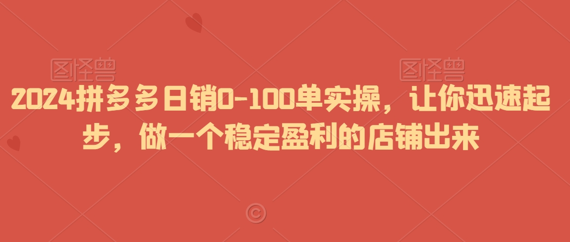 2024拼多多日销0-100单实操，让你迅速起步，做一个稳定盈利的店铺出来-氢气球网创资源库