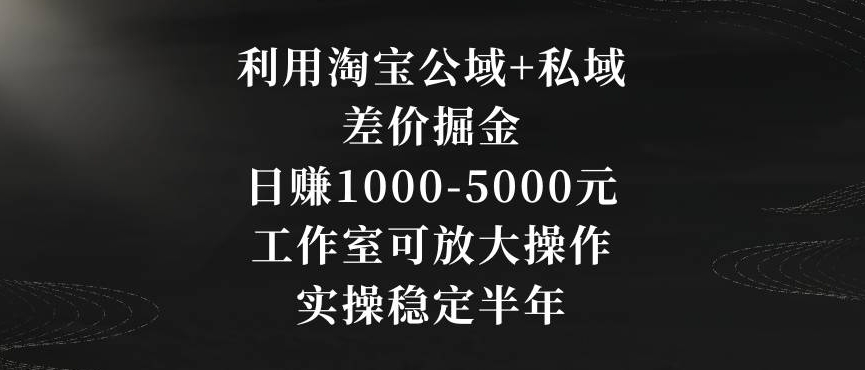 利用淘宝公域+私域差价掘金，日赚1000-5000元，工作室可放大操作，实操稳定半年【揭秘】-氢气球网创资源库
