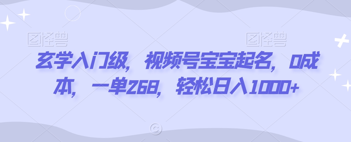 玄学入门级，视频号宝宝起名，0成本，一单268，轻松日入1000+【揭秘】-氢气球网创资源库