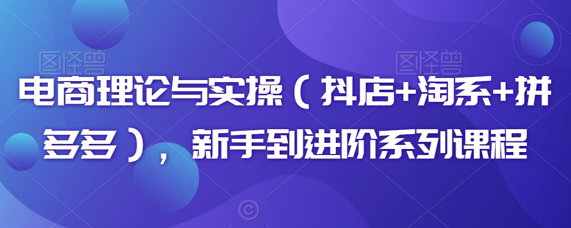 电商理论与实操（抖店+淘系+拼多多），新手到进阶系列课程-氢气球网创资源库