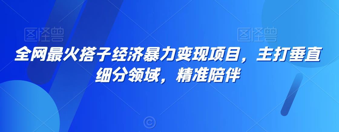 全网最火搭子经济暴力变现项目，主打垂直细分领域，精准陪伴【揭秘】-氢气球网创资源库