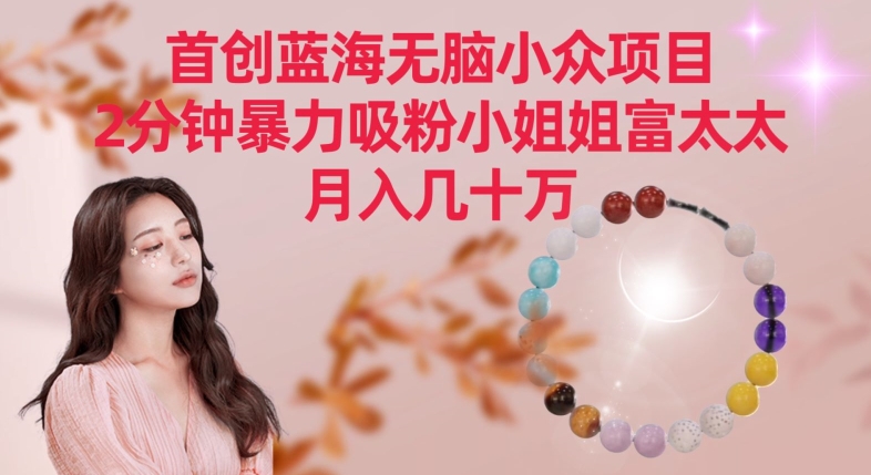 首创蓝海无脑小众项目，2分钟暴力吸粉小姐姐富太太，月入几十万【揭秘】-氢气球网创资源库