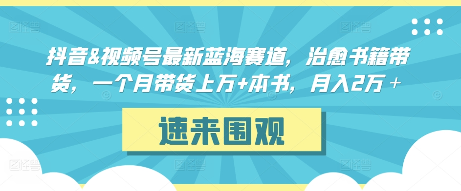 抖音&视频号最新蓝海赛道，治愈书籍带货，一个月带货上万+本书，月入2万＋【揭秘】-氢气球网创资源库