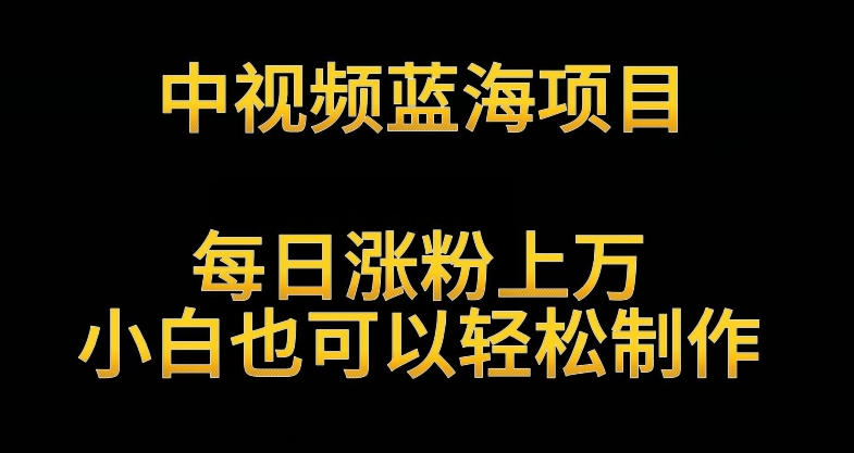 中视频蓝海项目，解读英雄人物生平，每日涨粉上万，小白也可以轻松制作，月入过万不是梦【揭秘】-氢气球网创资源库