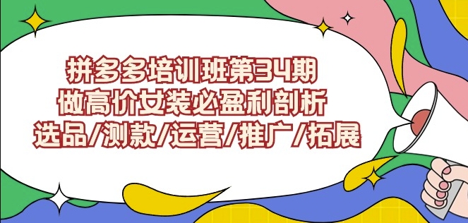 拼多多培训班第34期：做高价女装必盈利剖析选品/测款/运营/推广/拓展-氢气球网创资源库