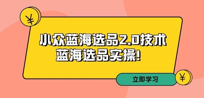 拼多多培训第33期：小众蓝海选品2.0技术-蓝海选品实操！-氢气球网创资源库