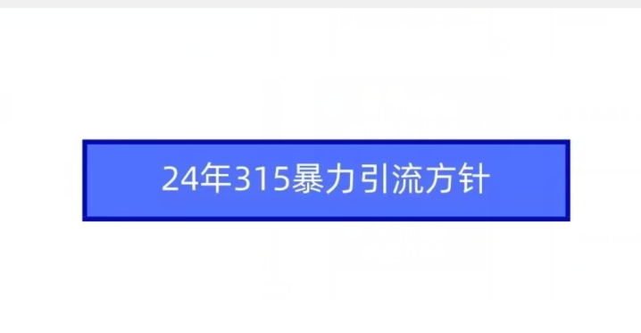 24年315暴力引流方针-氢气球网创资源库