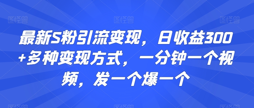 最新S粉引流变现，日收益300+多种变现方式，一分钟一个视频，发一个爆一个【揭秘】-氢气球网创资源库