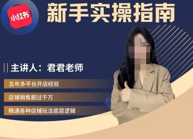 君君-小红书电商从入门到精通，新手实操指南-氢气球网创资源库