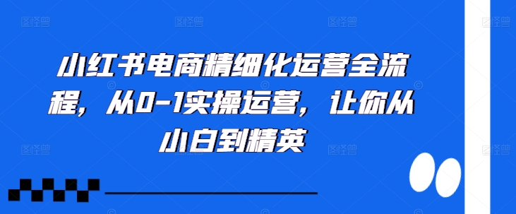 小红书电商精细化运营全流程，从0-1实操运营，让你从小白到精英-氢气球网创资源库