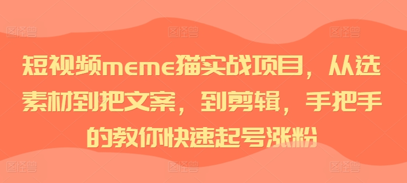 短视频meme猫实战项目，从选素材到把文案，到剪辑，手把手的教你快速起号涨粉-氢气球网创资源库
