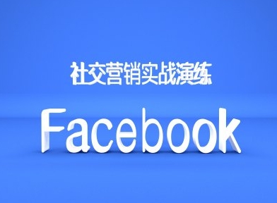 Facebook社交营销实战演练，外贸人绝对不能错过的营销推广平台-氢气球网创资源库