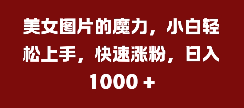 美女图片的魔力，小白轻松上手，快速涨粉，日入几张【揭秘】-氢气球网创资源库