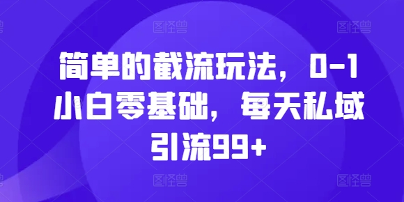 简单的截流玩法，0-1小白零基础，每天私域引流99+【揭秘】-氢气球网创资源库