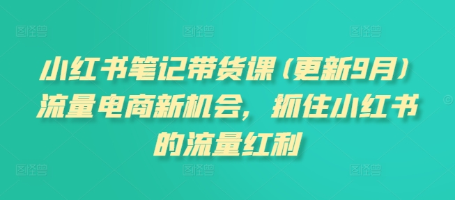 小红书笔记带货课(更新11月)流量电商新机会，抓住小红书的流量红利-氢气球网创资源库