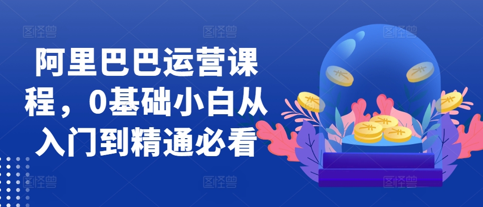 阿里巴巴运营课程，0基础小白从入门到精通必看-氢气球网创资源库