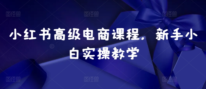 小红书高级电商课程，新手小白实操教学-氢气球网创资源库