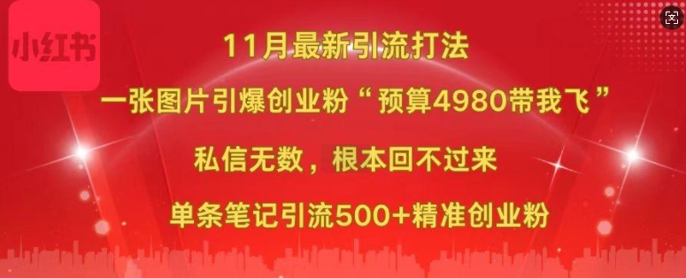 小红书11月最新图片打粉，一张图片引爆创业粉，“预算4980带我飞”，单条引流500+精准创业粉-氢气球网创资源库