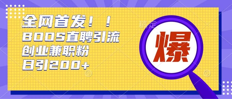 通过Boss直聘，每天轻松钓到200+多条创业大鱼的秘籍【揭秘】-氢气球网创资源库