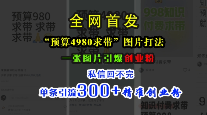 小红书“预算4980带我飞”图片打法，一张图片引爆创业粉，私信回不完，单条引流300+精准创业粉-氢气球网创资源库