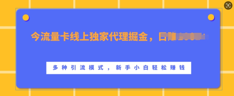 流量卡线上独家代理掘金，日入1k+ ，多种引流模式，新手小白轻松上手【揭秘】-氢气球网创资源库
