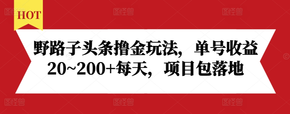 野路子头条撸金玩法，单号收益20~200+每天，项目包落地-氢气球网创资源库