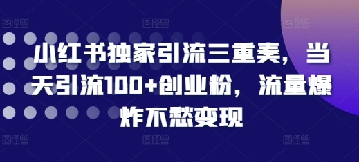 小红书独家引流三重奏，当天引流100+创业粉，流量爆炸不愁变现【揭秘】-氢气球网创资源库