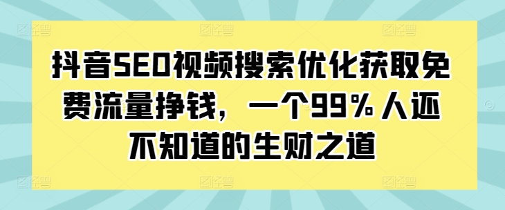 抖音SEO视频搜索优化获取免费流量挣钱，一个99%人还不知道的生财之道-氢气球网创资源库