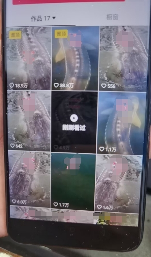 外面卖399的国学佛像原创暴力起号技术，快速起号，7天可达到一个万粉号-氢气球网创资源库