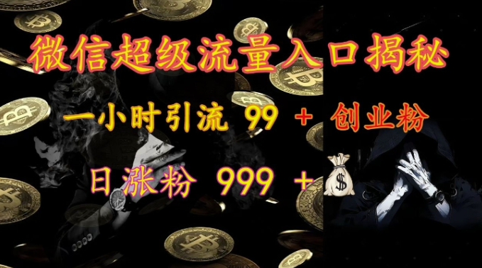 微信超级流量入口揭秘：一小时引流 99 + 创业粉，日涨粉 999 +-氢气球网创资源库