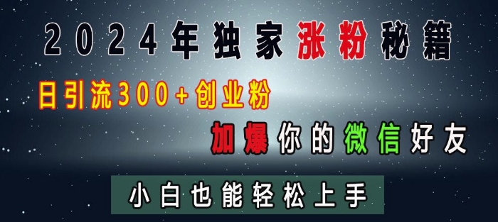 2024年独家涨粉秘籍，日引流300+创业粉，加爆你的微信好友，小白也能轻松上手-氢气球网创资源库