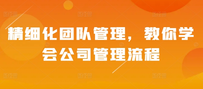 精细化团队管理，教你学会公司管理流程-氢气球网创资源库