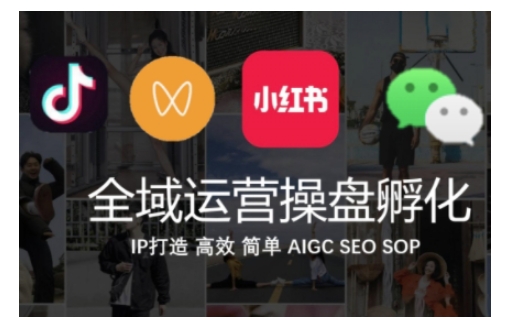 全域运营操盘(抖音+私域+小红书)，IP打造高效简单-氢气球网创资源库