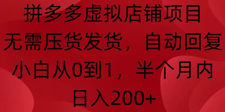 拼多多虚拟店铺项目，无需压货发货，自动回复，小白从0到1，半个月内日入200+【揭秘】-氢气球网创资源库