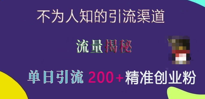 不为人知的引流渠道，流量揭秘，实测单日引流200+精准创业粉【揭秘】-氢气球网创资源库