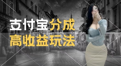 支付宝分成计划新玩法，利用交通事故视频，赚收益，轻松月入过W，操作简单【揭秘】-氢气球网创资源库